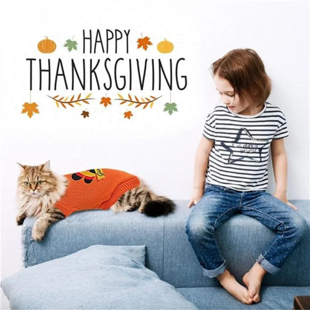 2 Packs Knitted Cat Sweater Thanksgiving Turkey Sweater for Kitten & Cats